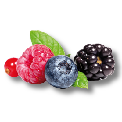 Frutti di Bosco