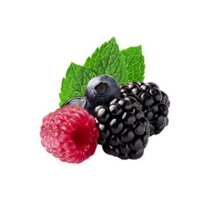 Gelato ai Frutti di Bosco