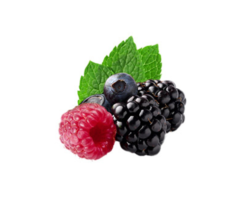 Gelato ai Frutti di Bosco