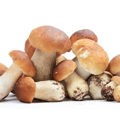 Funghi Porcini Surgelati