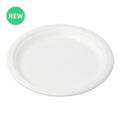 Piatto Eco Friendly